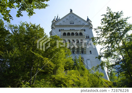 Germany Neuschwanstein Castle Germany Neuschwanstein Castle 72876226