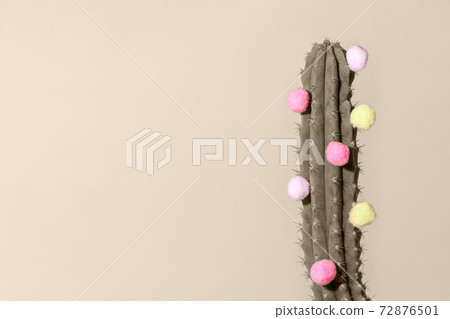 Minimal creative stillife, cactus and fluffy colorful balls on background, happy birthday, summer, vacation, depilation concept, copy space, flyer, sale coupon discount, toned photo, trendy beige 72876501