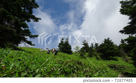 On the way to the summit ridge from the rock course of Mt. Azumaya, one of the 100 famous mountains in Japan On the way to the summit ridge from the rock course of Mt. Azumaya, one of the 100 famous mountains in Japan 72877485