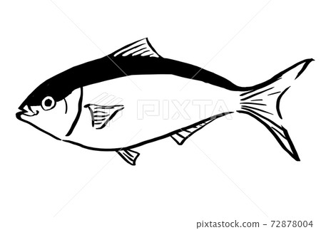 Illustration of black line art of yellowtail - Stock Illustration ...