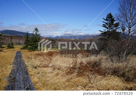 群馬縣Akoi村的草浦滑雪場附近的浦倉山腳下的Nojidaira 群馬縣Akoi村的草浦滑雪場附近的浦倉山腳下的Nojidaira 72878520
