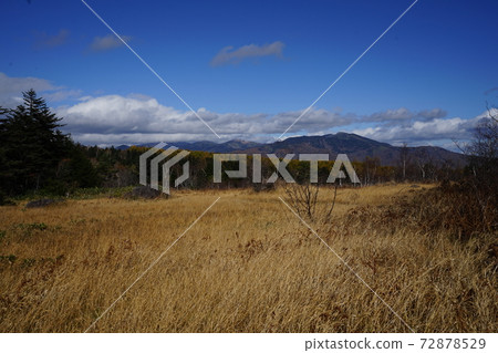群馬縣Akoi村的草浦滑雪場附近的浦倉山腳下的Nojidaira 群馬縣Akoi村的草浦滑雪場附近的浦倉山腳下的Nojidaira 72878529