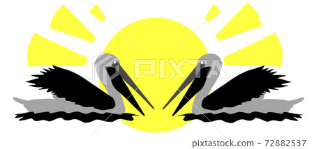 Two pelicans on the background of the sun Two pelicans on the background of the sun 72882537