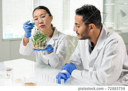 Young laboratory worker holding green lab-grown soy sprouts in petri dish Young laboratory worker holding green lab-grown soy sprouts in petri dish 72883739