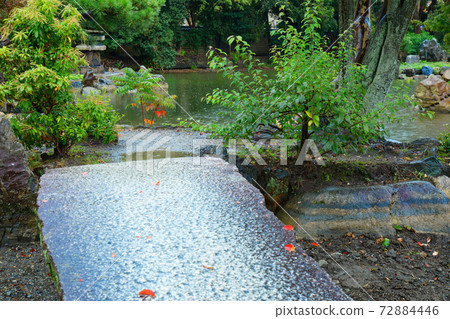 Fallen leaves: The beginning of autumn leaves at Shosei-en Garden Fallen leaves: The beginning of autumn leaves at Shosei-en Garden 72884446