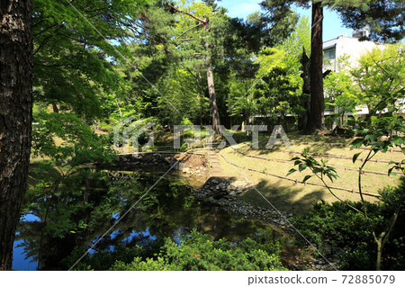 新鮮綠色藥材園 72885079