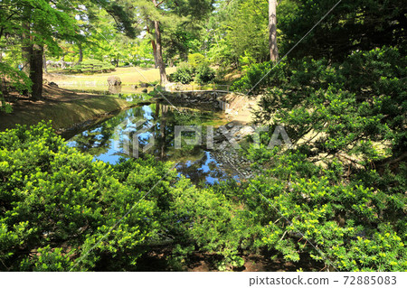 新鮮綠色藥材園 新鮮綠色藥材園 72885083