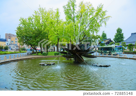 A large ginkgo tree and fountain on Karasuma Dori where it rains lightly 72885148