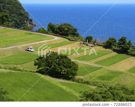 Rice terraces and the sea of Tajima taken in a diorama style Rice terraces and the sea of Tajima taken in a diorama style 72886023