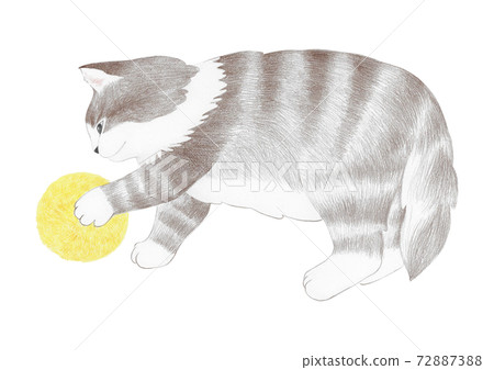 cat playing ball
