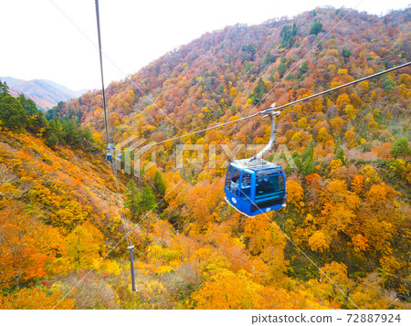 [Niigata] A spectacular view of the autumn leaves seen from Naeba Dragondola 72887924