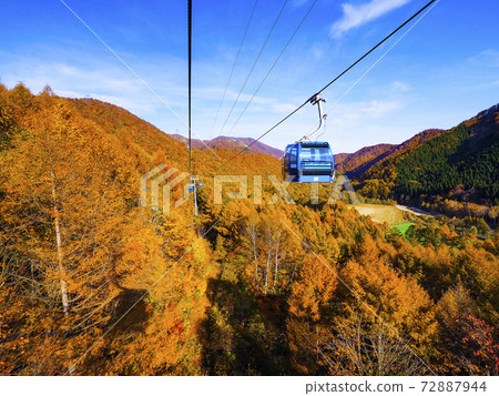 [Niigata] A spectacular view of the autumn leaves seen from Naeba Dragondola 72887944