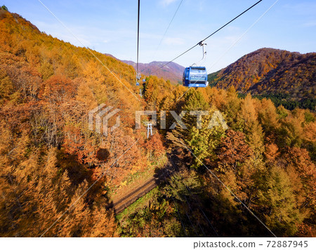 [Niigata] A spectacular view of the autumn leaves seen from Naeba Dragondola 72887945