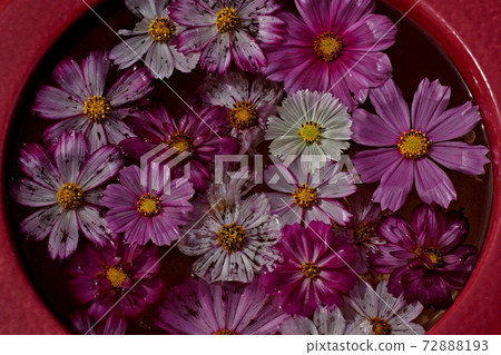 般若寺的風景 般若寺的風景 72888193