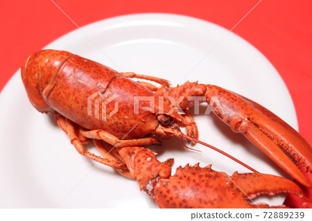 奧馬爾蝦 72889239
