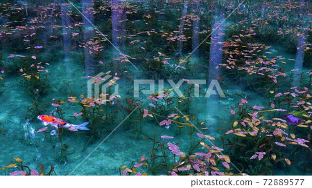 Pond of monet Pond of monet 72889577
