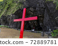 Cross 72889781