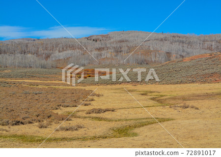 Beautiful landscape in the Uinta National Forest, Heber City, Utah Beautiful landscape in the Uinta National Forest, Heber City, Utah 72891017