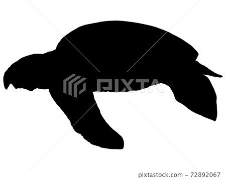 Archelon_Silhouette 72892067