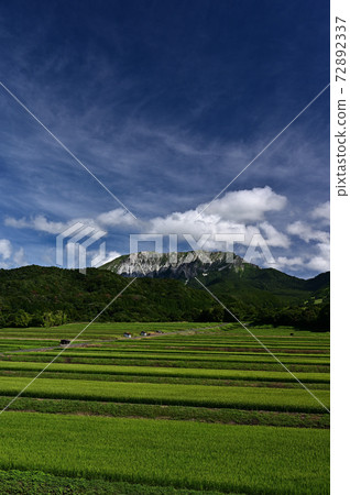 界田稻田的大山 界田稻田的大山 72892337