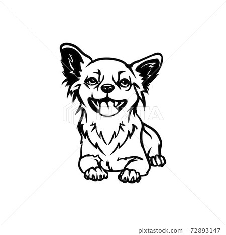 Chihuahua Dog Lying Chihuahua Vector Stock Stock Illustration