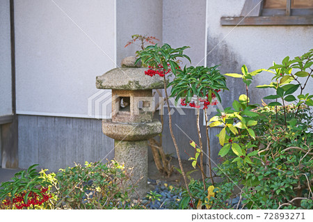 日本花園中的Manryo 72893271