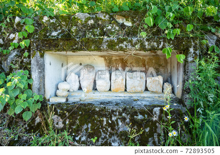 為Jizo準備的一朵鮮花|初夏在路邊 72893505