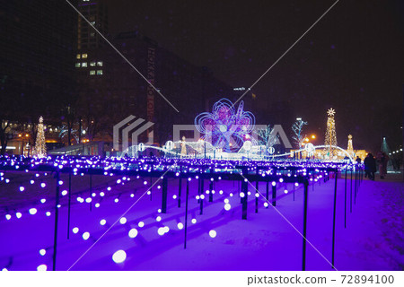 Purple park 72894100