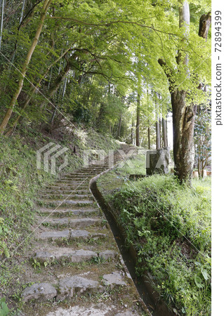 奈良縣町屋市松山町宇田市 奈良縣町屋市松山町宇田市 72894399