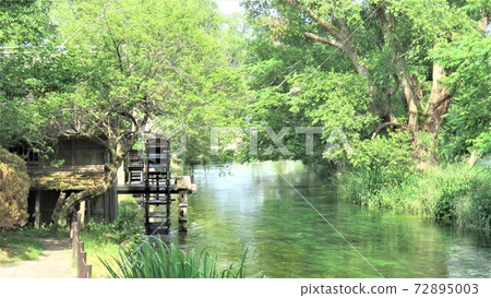 大芥末農場和水車 72895003