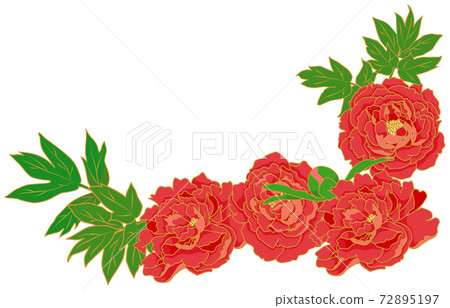 Peony flower material illustration Peony flower material illustration 72895197