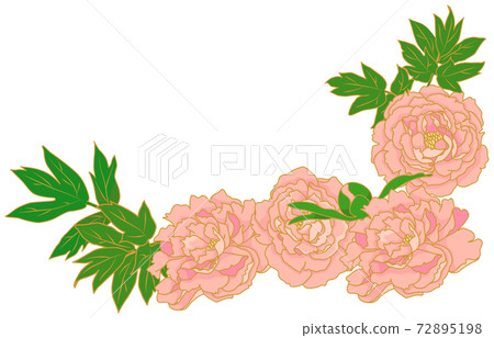 Peony flower material illustration Peony flower material illustration 72895198