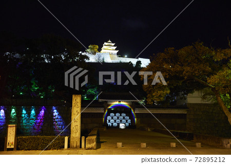 Illuminated Marugame Castle Illuminated Marugame Castle 72895212