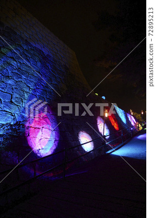 Illuminated Marugame Castle Illuminated Marugame Castle 72895213