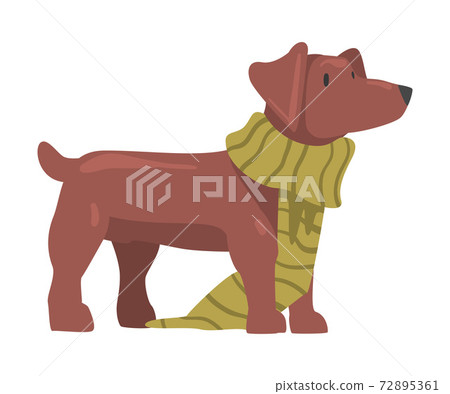 Cute Dog in Green Knitted Scarf, Funny Pet Animal Character Cartoon Style Vector Illustration 72895361