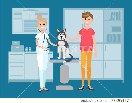 Vet doctor holds husky on examination table in. Veterinarian with a phonendoscope working with a dog 72895417