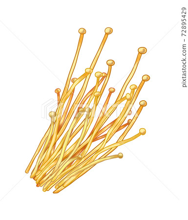 Vegetable enoki ② (illustration) Can also be used for pots, bento boxes, and cooking images Combination series Vegetable enoki ② (illustration) Can also be used for pots, bento boxes, and cooking images Combination series 72895429