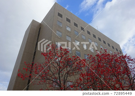 札幌市中央區札幌家庭法院/札幌簡易法院 札幌市中央區札幌家庭法院/札幌簡易法院 72895449