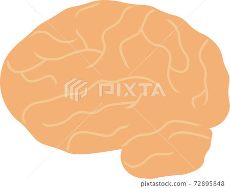 無腦架 無腦架 72895848