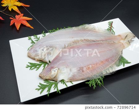 兩種特殊產品Karei Wakasa 兩種特殊產品Karei Wakasa 72896714