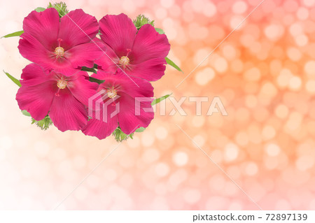 Fresh red flowers on bokeh background. 72897139