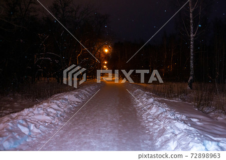 night winter forest road light street lamp. snowytrees Park scene. snowfall night winter forest road light street lamp. snowytrees Park scene. snowfall 72898963