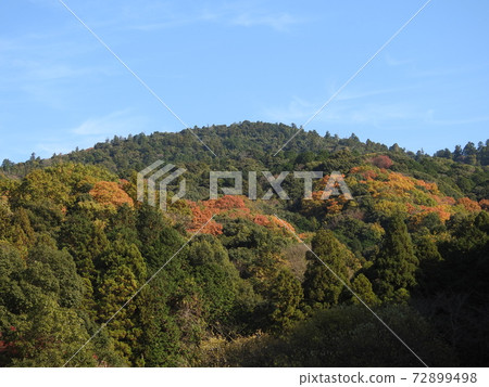 Omiwa Shrine 72899498