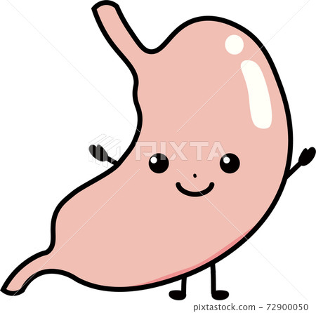 健康的胃 健康的胃 72900050