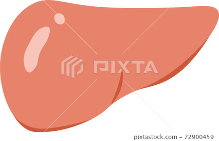 No liver frame 72900459