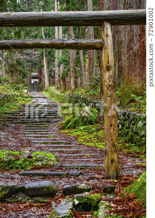 平泉寺白山神社:三宮的探訪(福井縣胜山市) 平泉寺白山神社:三宮的探訪(福井縣胜山市) 72901002
