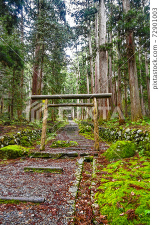 Heisenji Hakusan Shrine: The approach to Sannomiya (Katsuyama City, Fukui Prefecture) Heisenji Hakusan Shrine: The approach to Sannomiya (Katsuyama City, Fukui Prefecture) 72901003