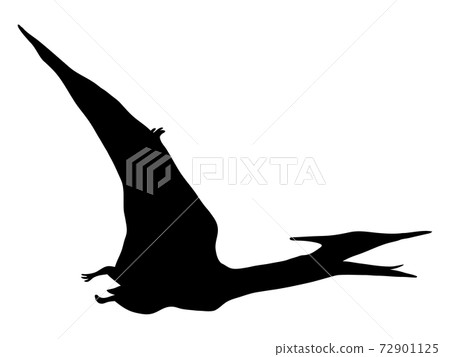 Pteranodon Isolated Flying Pterodactyl Sketch Stock Vector - Illustration  of vector, extinct: 168146560