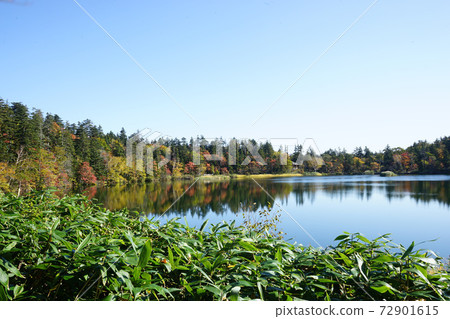 Autumn Himenuma Rishirifuji Town, Rishiri District, Hokkaido 72901615