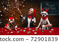 New Year's celebration of a woman and her dogs 72901839